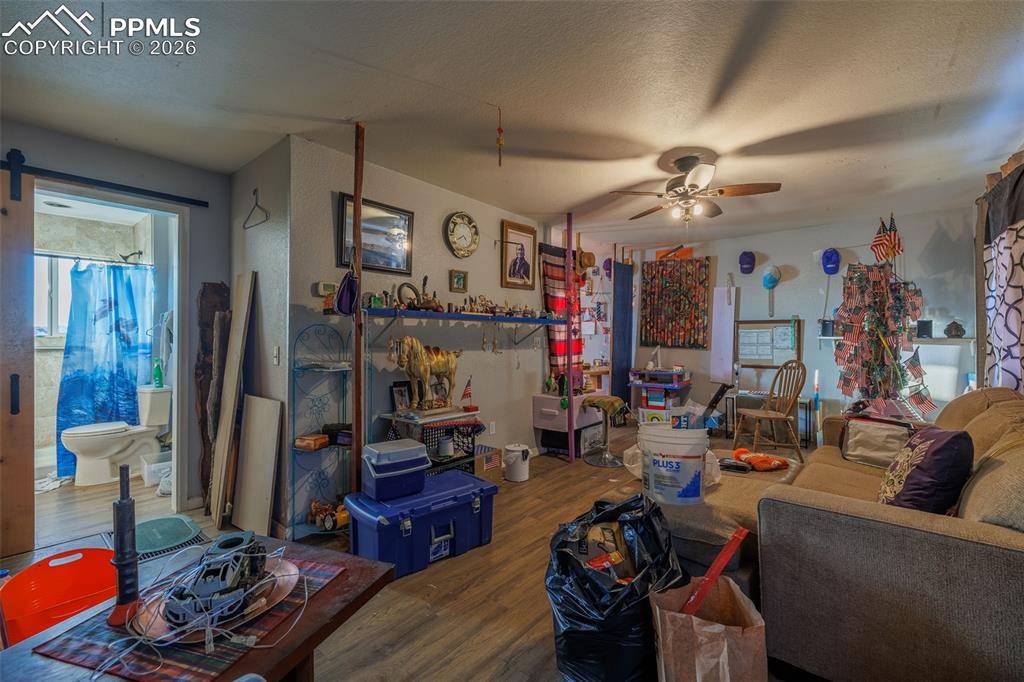 203 N Hayden ST, Cripple Creek, CO 80813