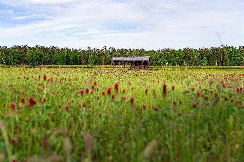 2365 CR 152, Carthage, TX 75633