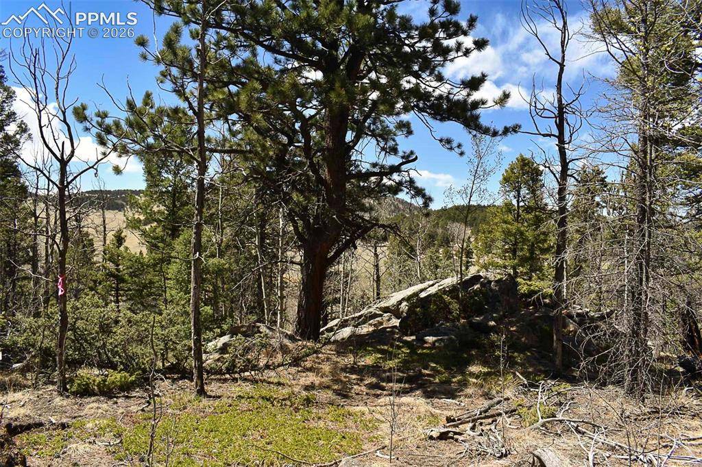 289 Timberline DR, Guffey, CO 80820