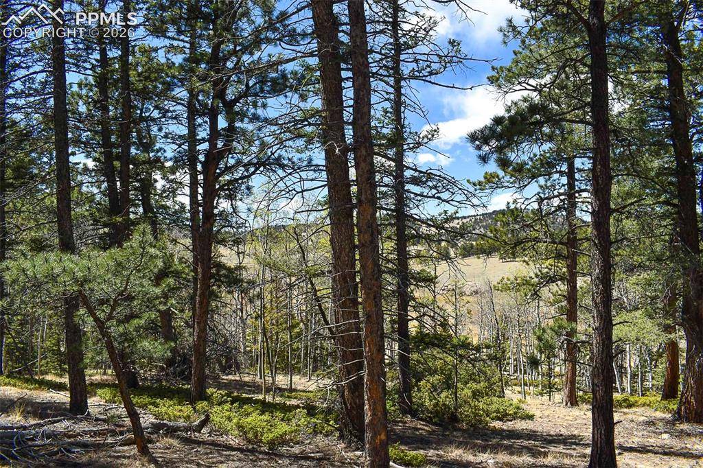 289 Timberline DR, Guffey, CO 80820