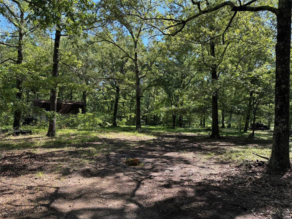 6943 Alvin York Lane, Shreveport, LA 71107