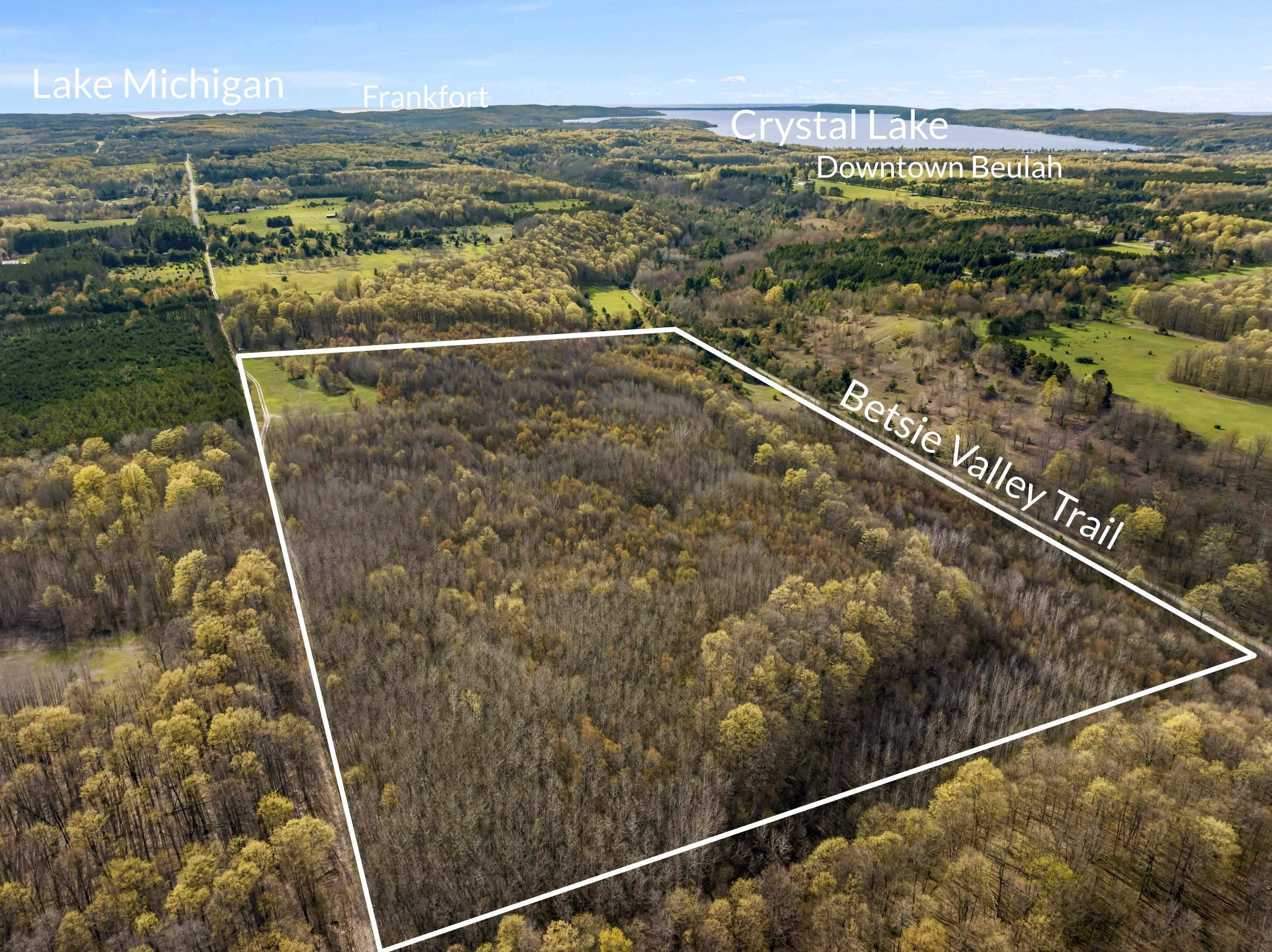Love RD, Benzonia Twp, MI 49616