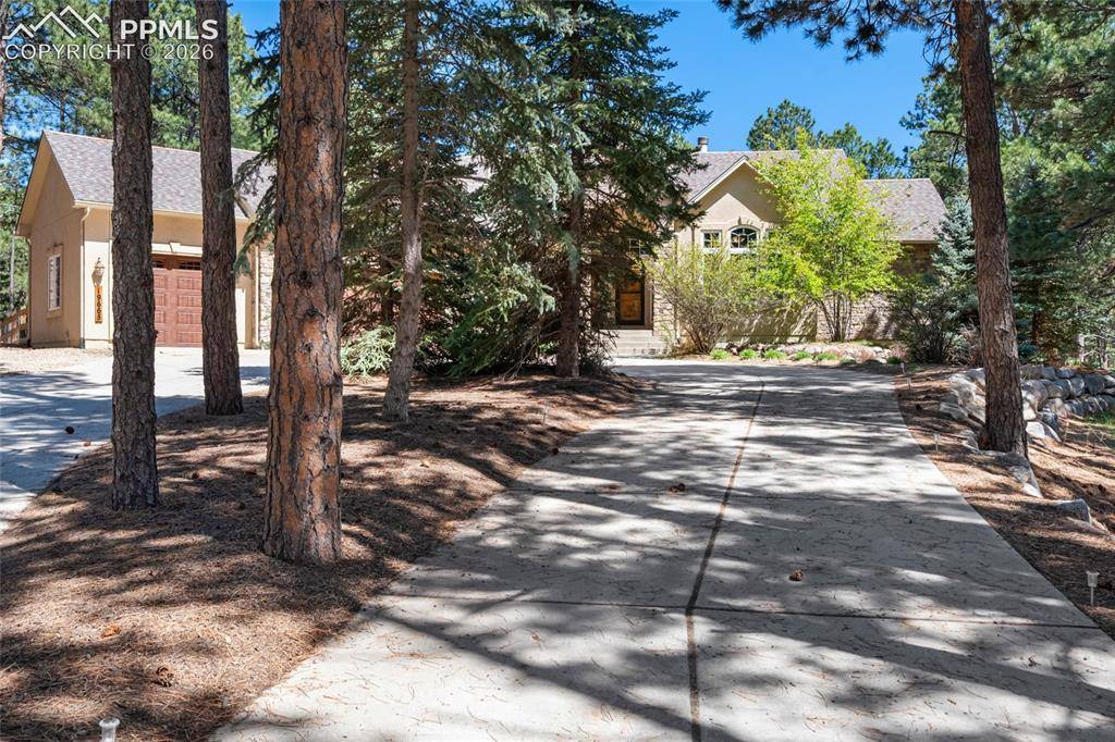 19665 Desparado DR, Colorado Springs, CO 80908