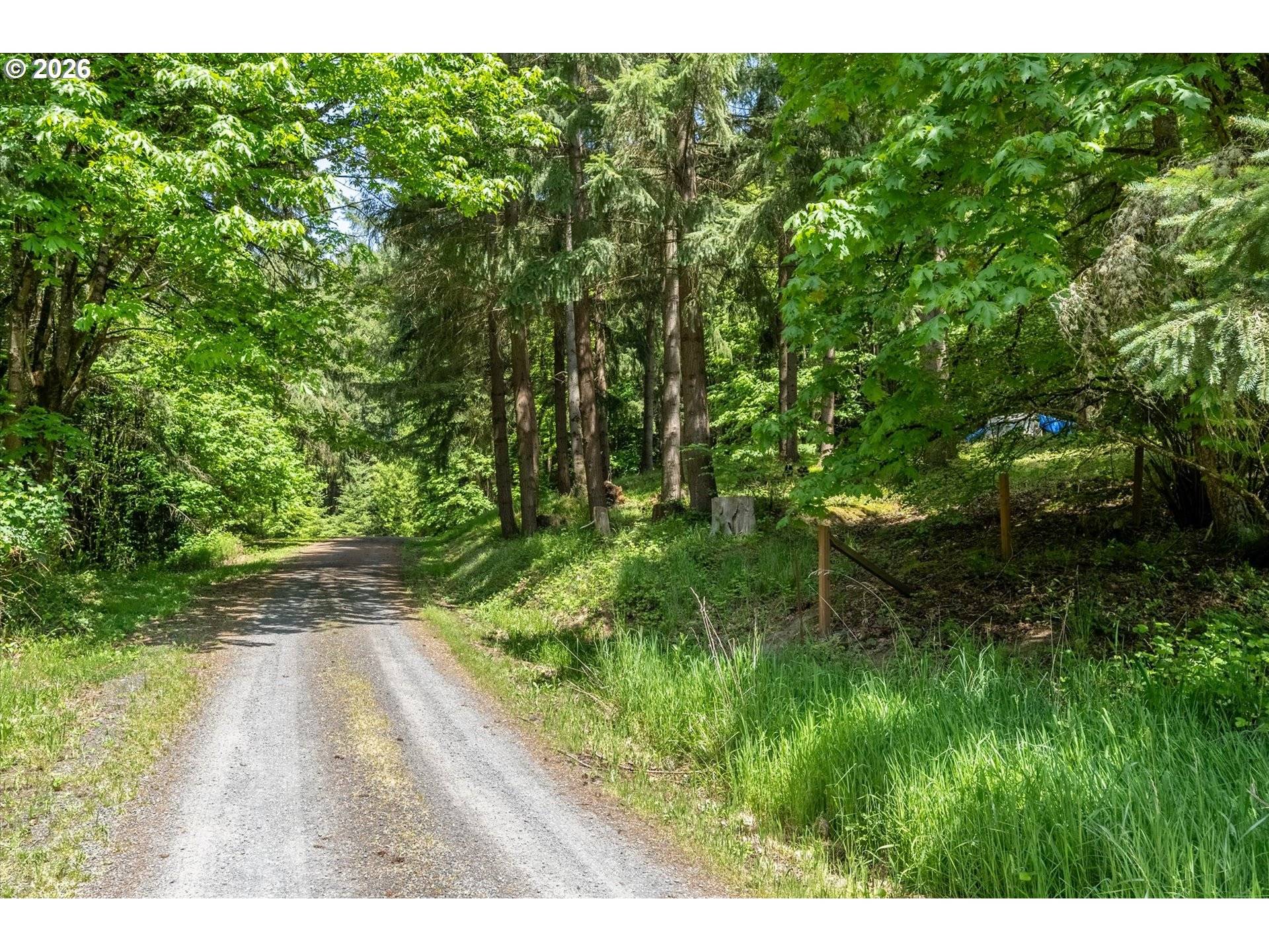 120 SOLO MEADOWS LN, Longview, WA 98632
