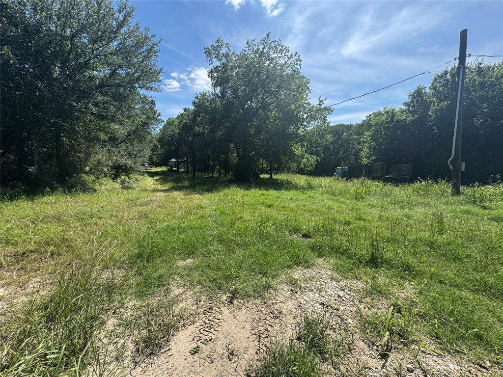 329 S Skyline Court, Cresson, TX 76035