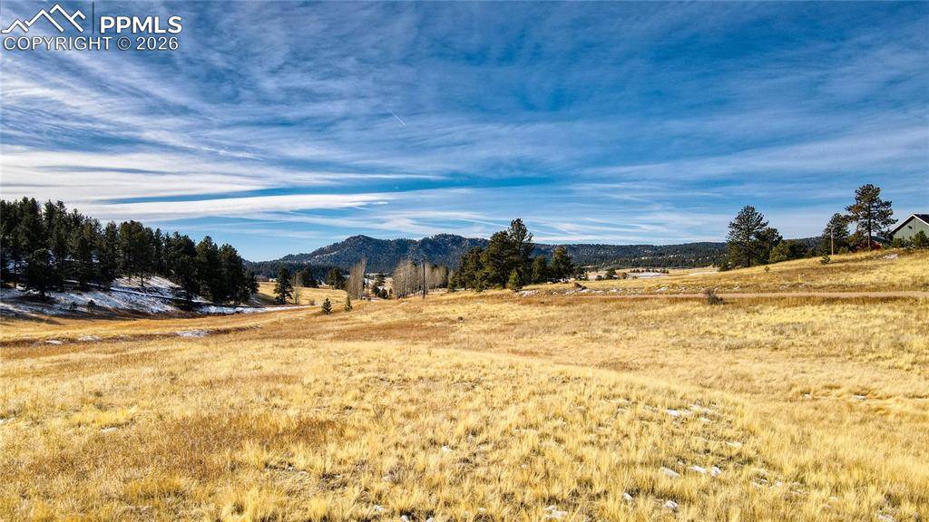 150 High Pasture RD, Florissant, CO 80816