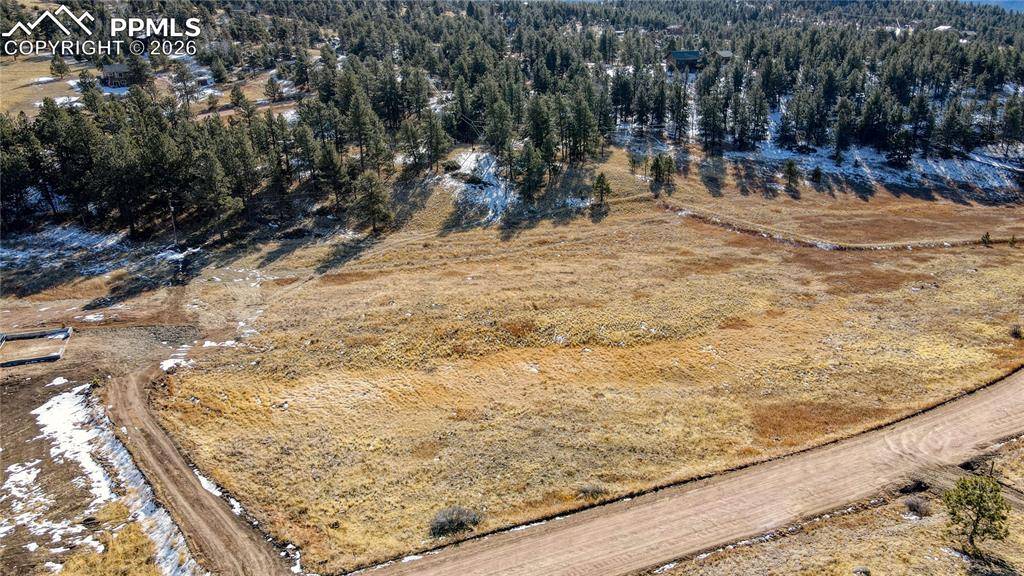 150 High Pasture RD, Florissant, CO 80816