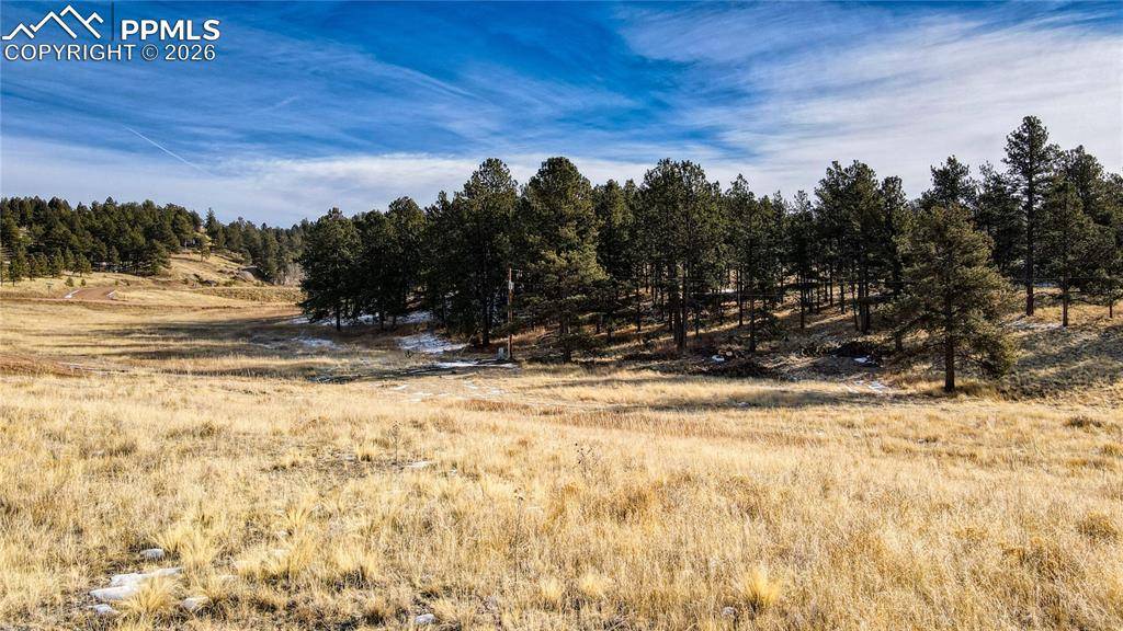 150 High Pasture RD, Florissant, CO 80816