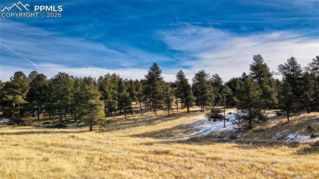 150 High Pasture RD, Florissant, CO 80816