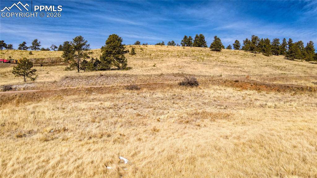 150 High Pasture RD, Florissant, CO 80816