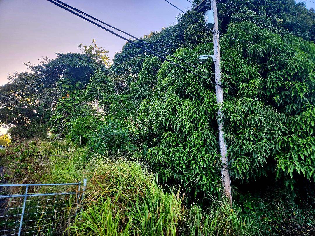 81-6242 NAPOOPOO RD, Captain Cook, HI 96704
