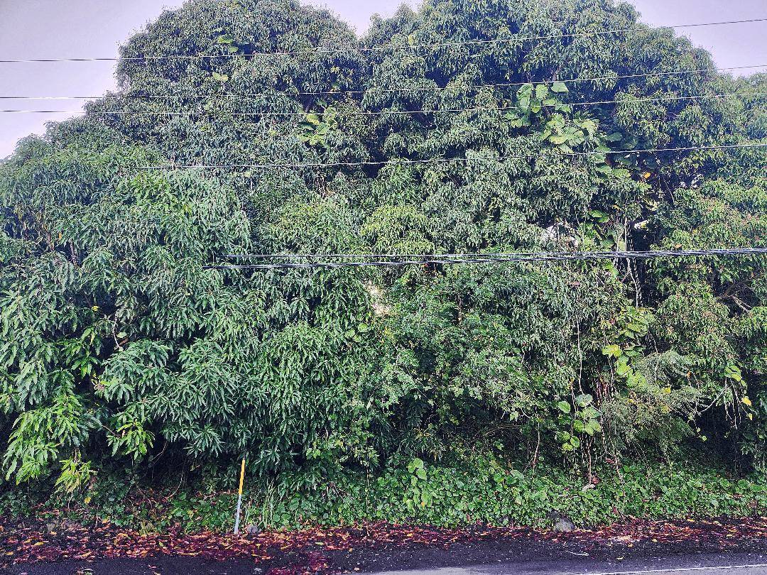 81-6242 NAPOOPOO RD, Captain Cook, HI 96704