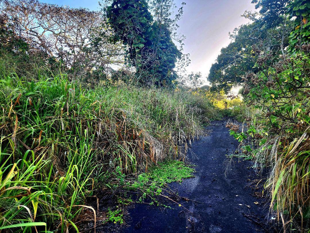 81-6242 NAPOOPOO RD, Captain Cook, HI 96704