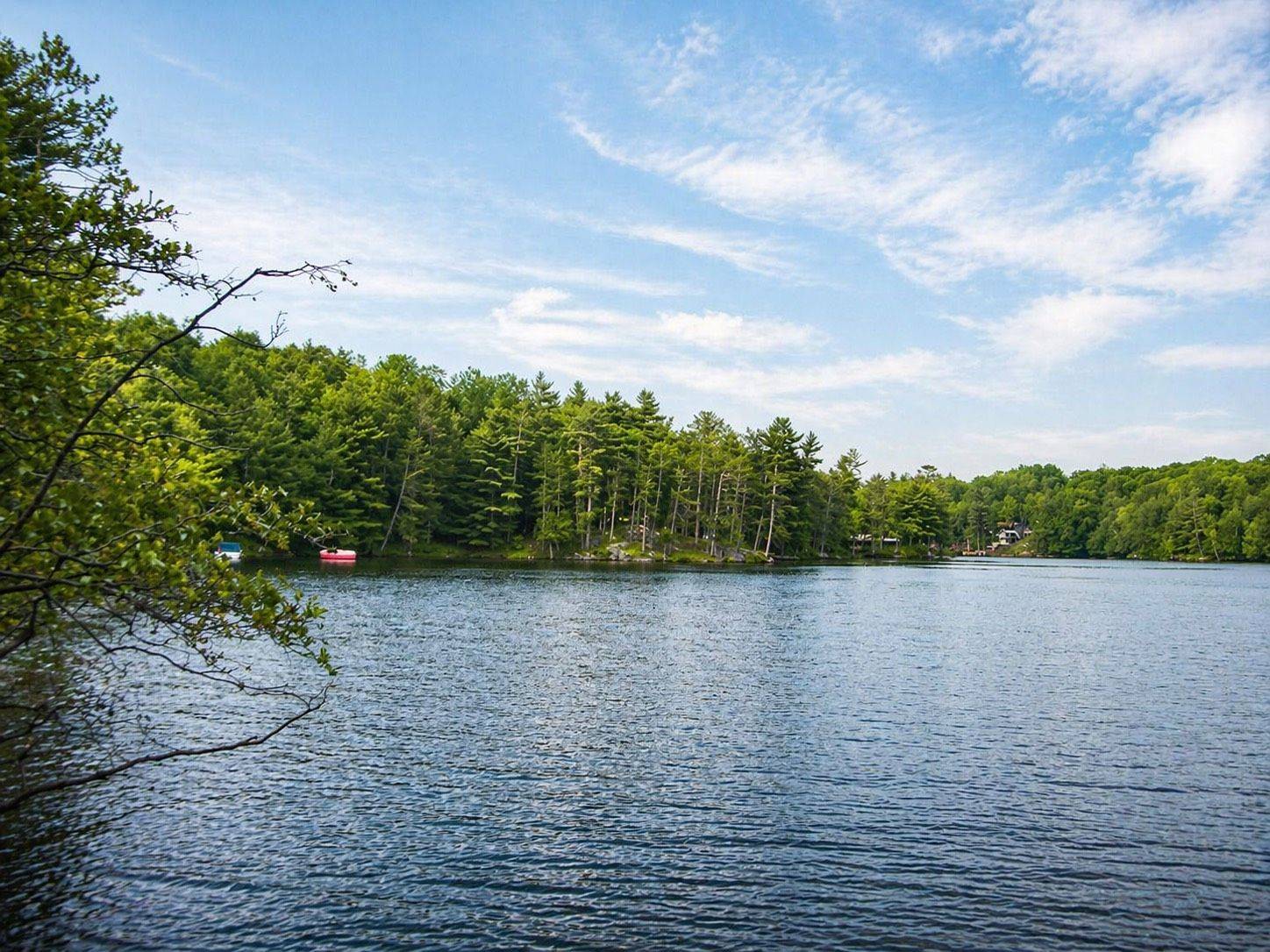 20 Part Lot 13 Concession, Muskoka Lakes, ON P0C 1A0