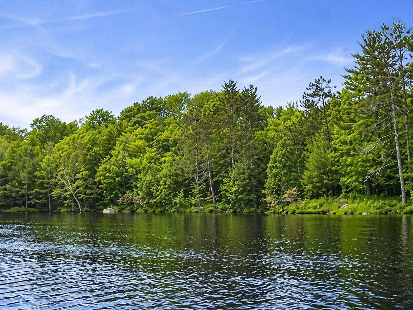 20 Part Lot 13 Concession, Muskoka Lakes, ON P0C 1A0