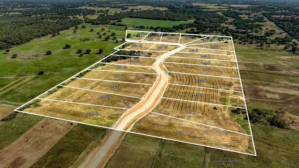 TBD Chico Three Quarter Loop, Poolville, TX 76487