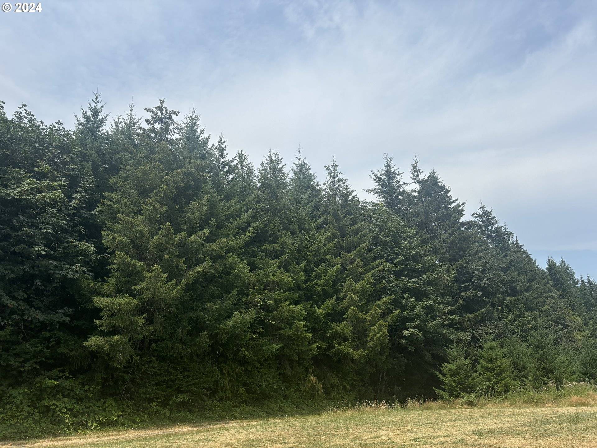 SE GORDON CREEK RD, Corbett, OR 97019