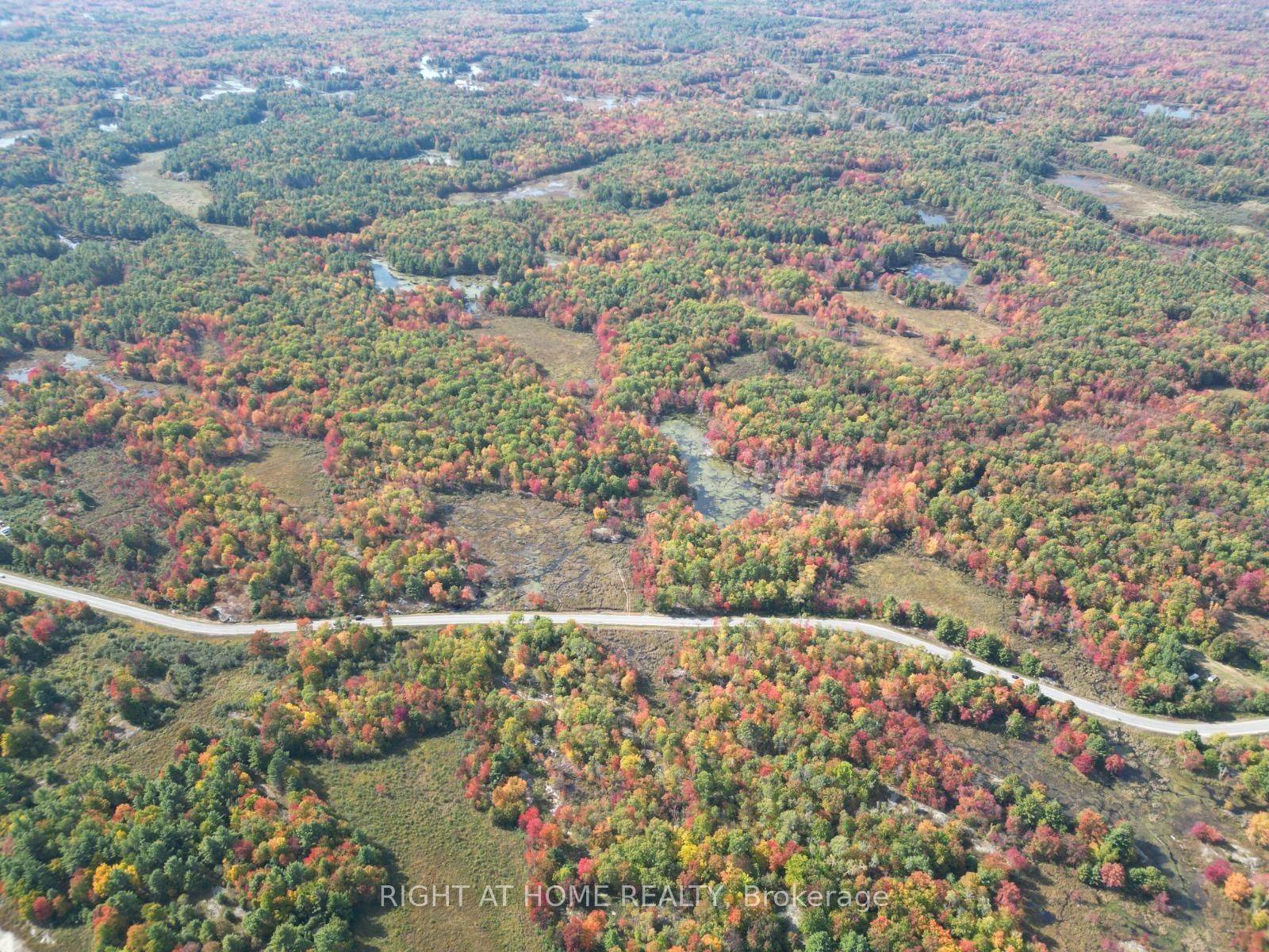1115 Flinton Rd HWY N, Tweed, ON K0K 3J0
