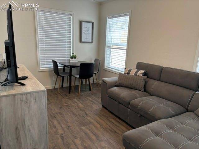 1141 Calm Mountain PT, Woodland Park, CO 80863