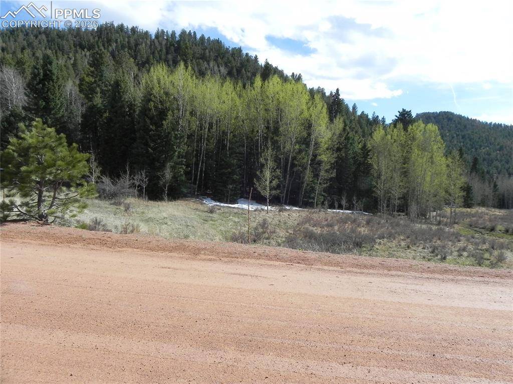 1699 Monarch DR, Cripple Creek, CO 80813