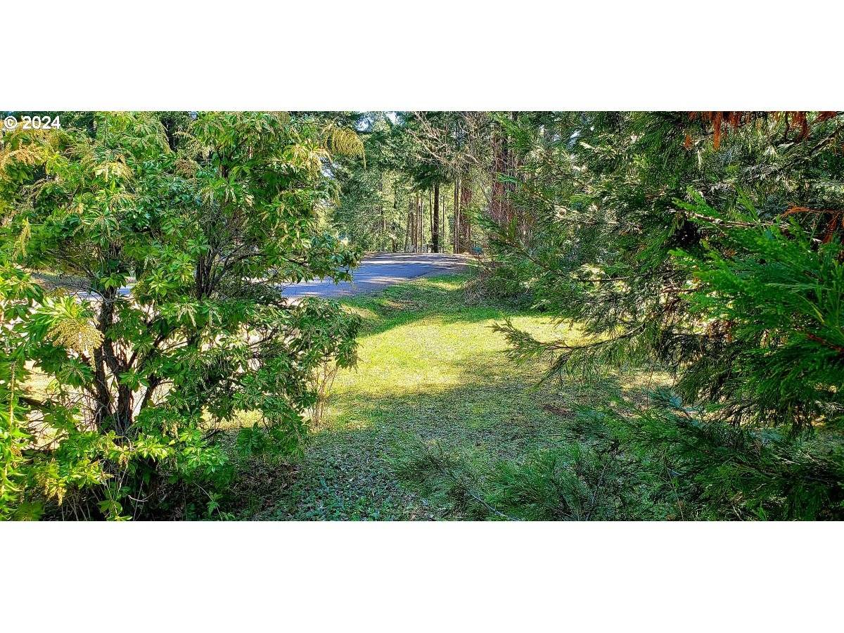 49220 MOUNTAIN VIEW RD, Oakridge, OR 97463