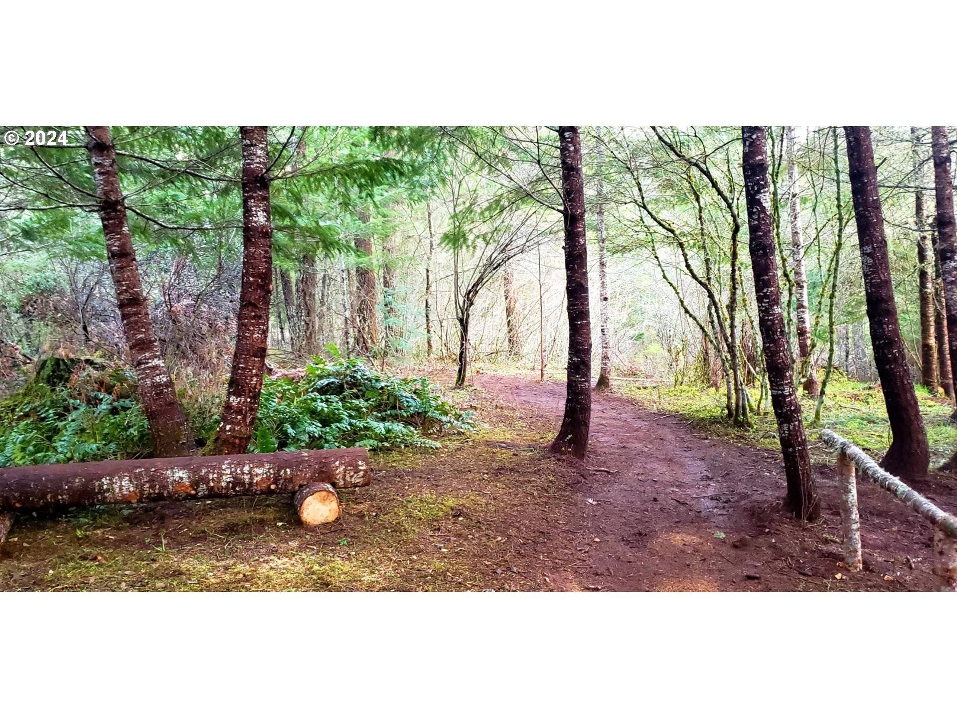 49220 MOUNTAIN VIEW RD, Oakridge, OR 97463