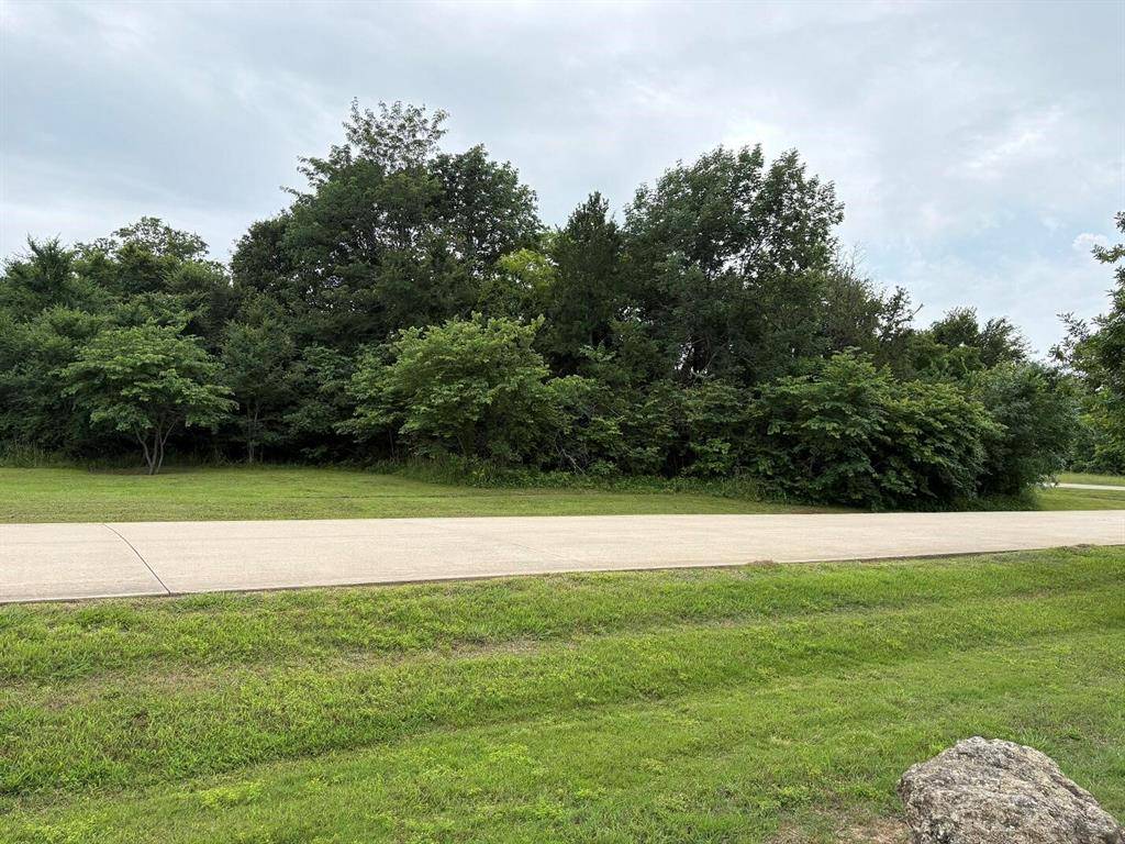 1757 Canyon Lake Road, Wills Point, TX 75169