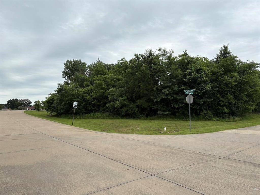 1757 Canyon Lake Road, Wills Point, TX 75169