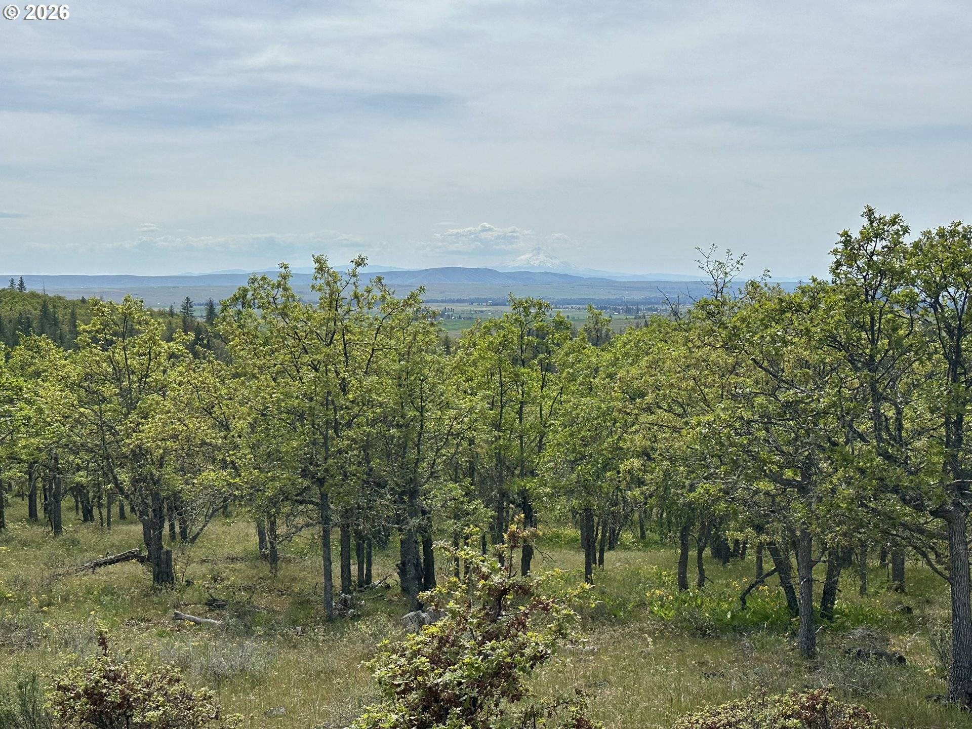 157 Ponderosa Park #157of 6, Goldendale, WA 98620