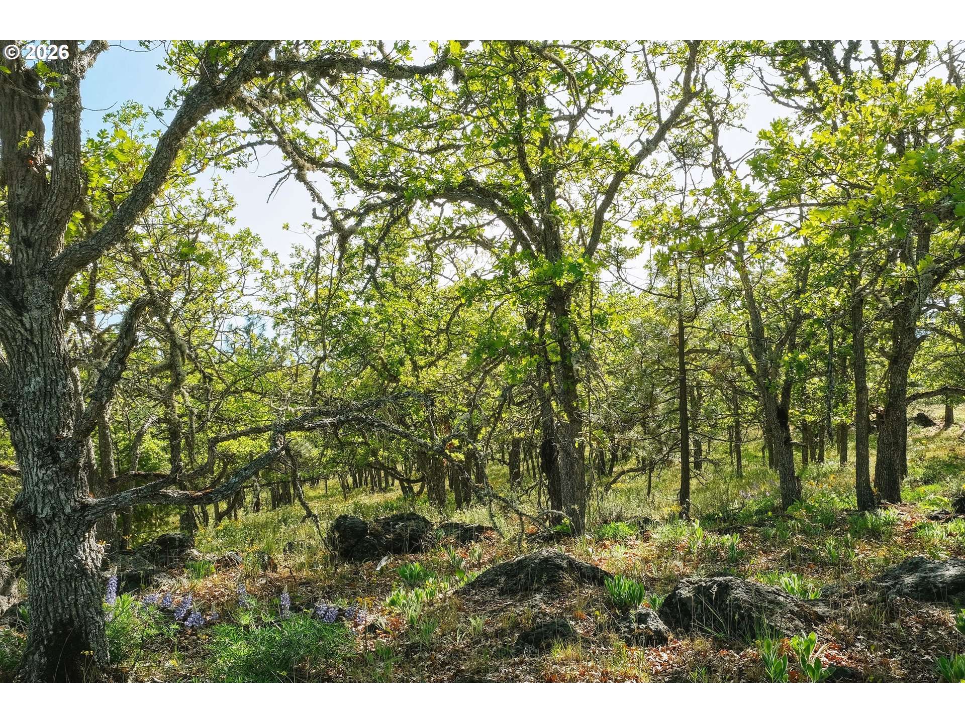 157 Ponderosa Park #157of 6, Goldendale, WA 98620