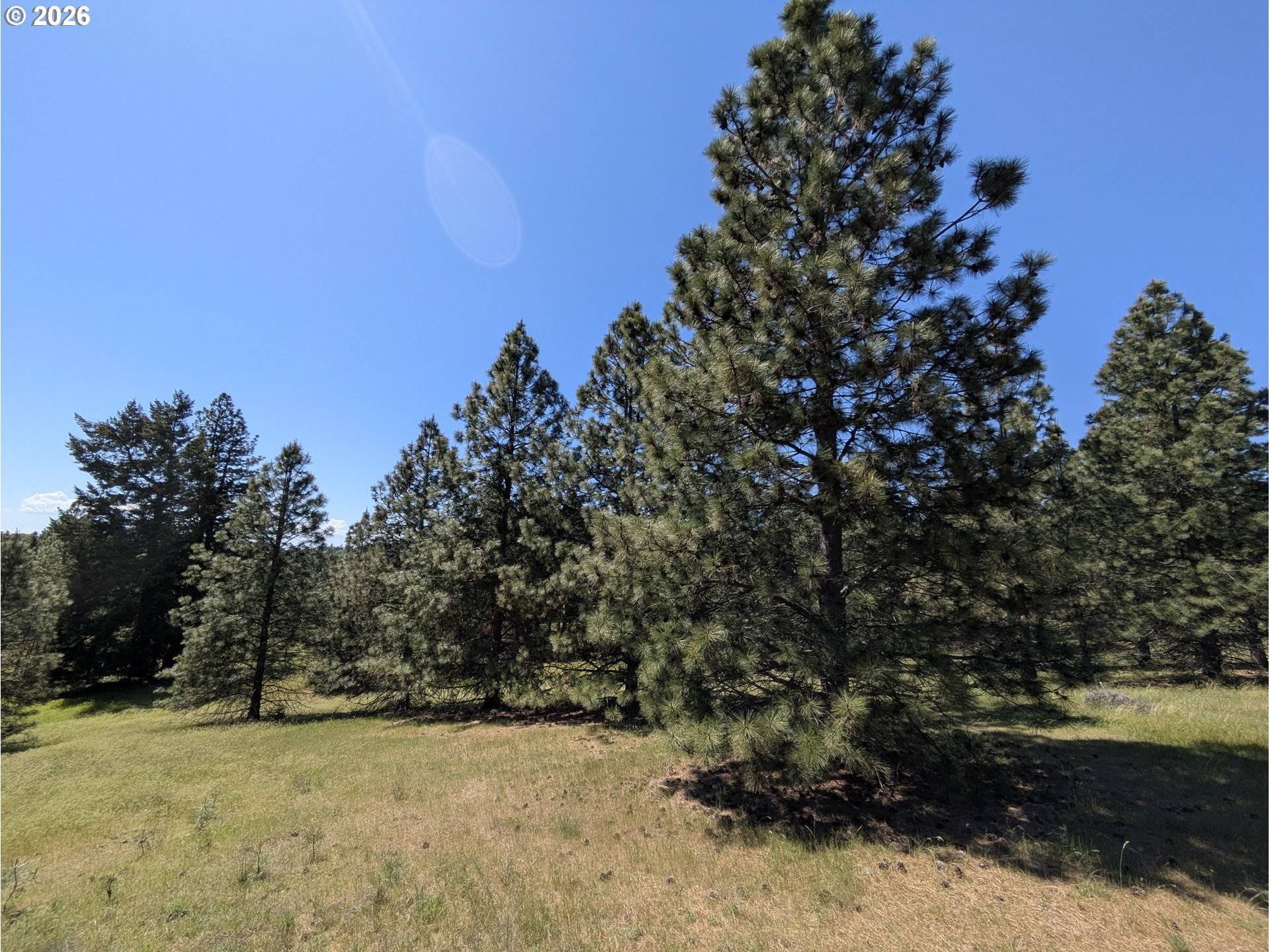 41 Mountain View RD, Lyle, WA 98635