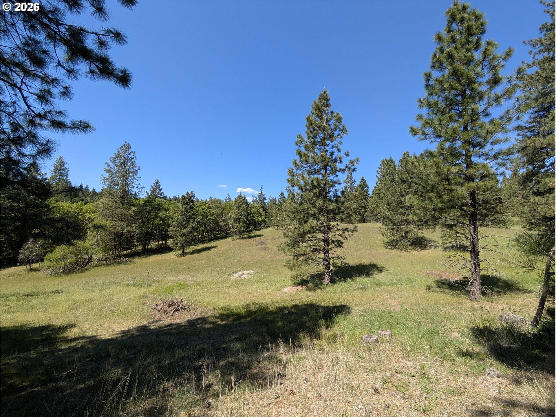 41 Mountain View RD, Lyle, WA 98635
