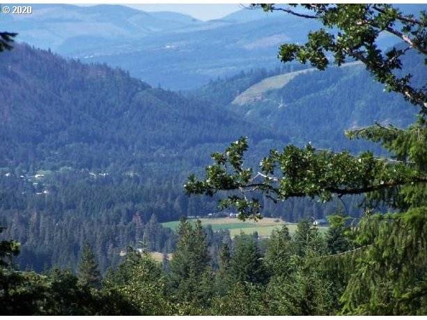 Lyons RD, Husum, WA 98623