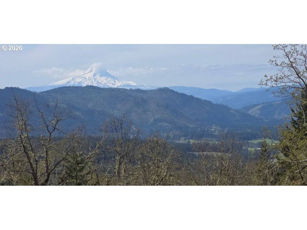 Lyons RD, Husum, WA 98623