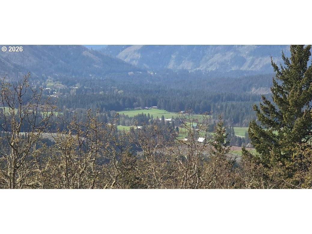 Lyons RD, Husum, WA 98623