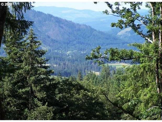 Lyons RD, Husum, WA 98623