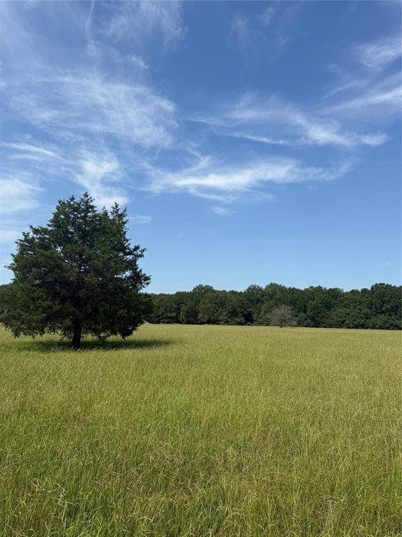 000 FM 412, Clarksville, TX 75426
