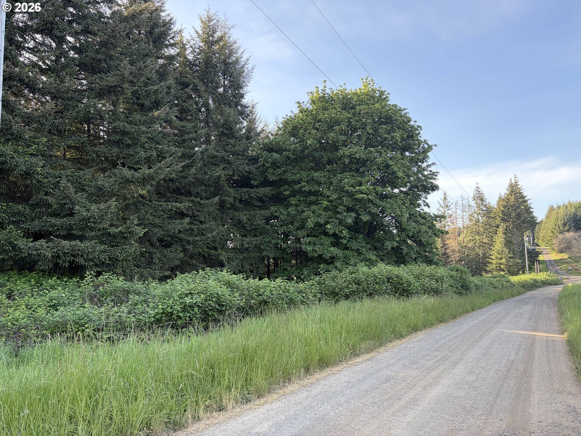 SW REGIA DR, Sheridan, OR 97378