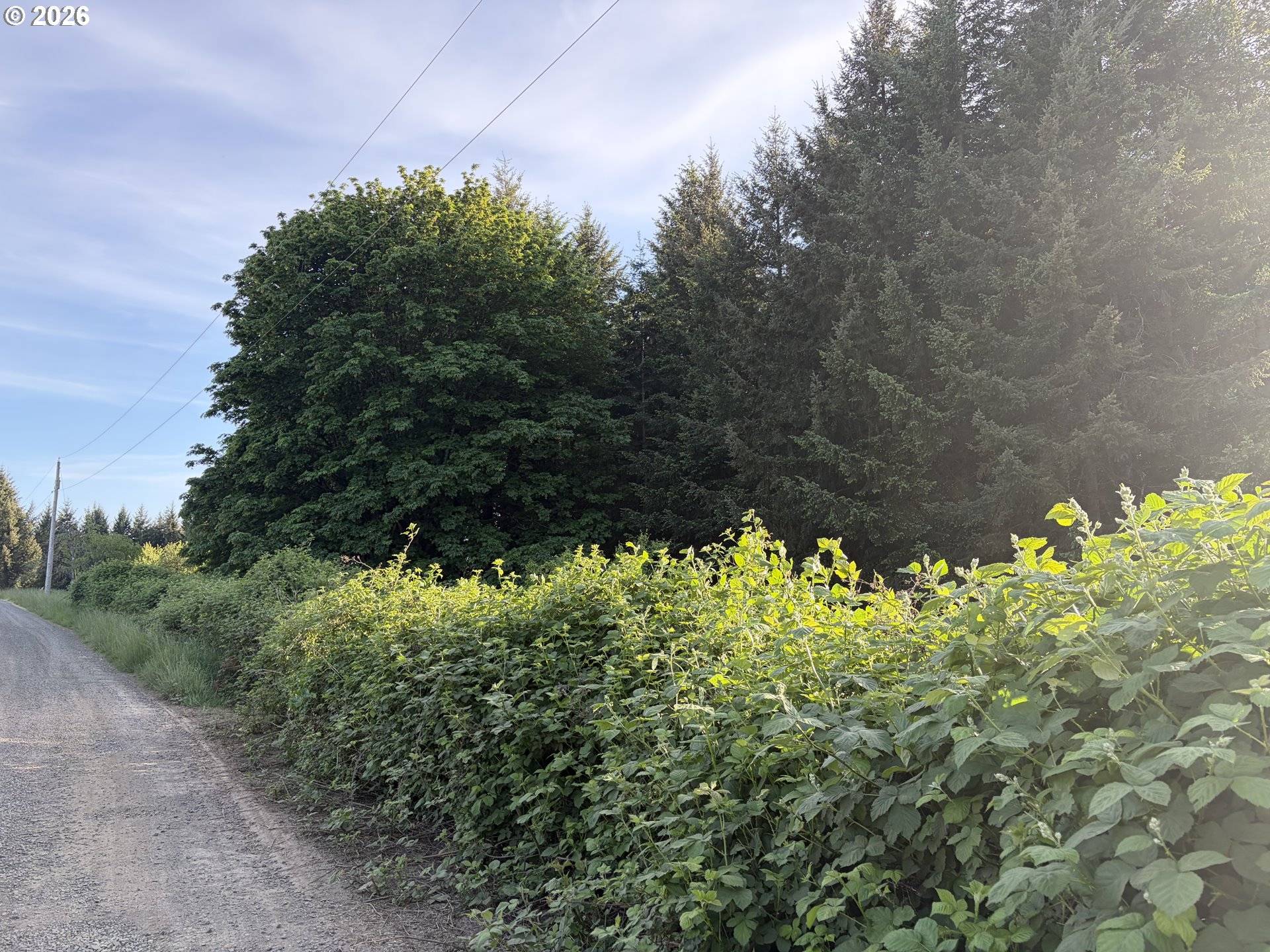SW REGIA DR, Sheridan, OR 97378