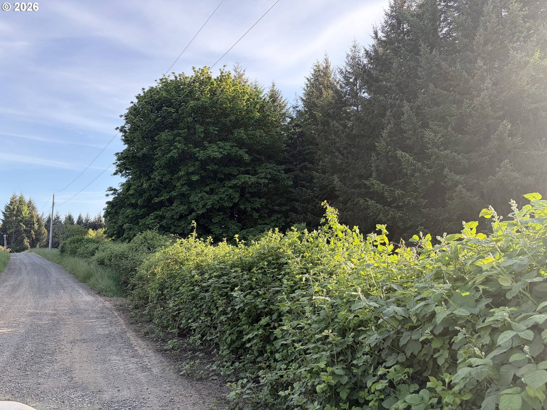 SW REGIA DR, Sheridan, OR 97378