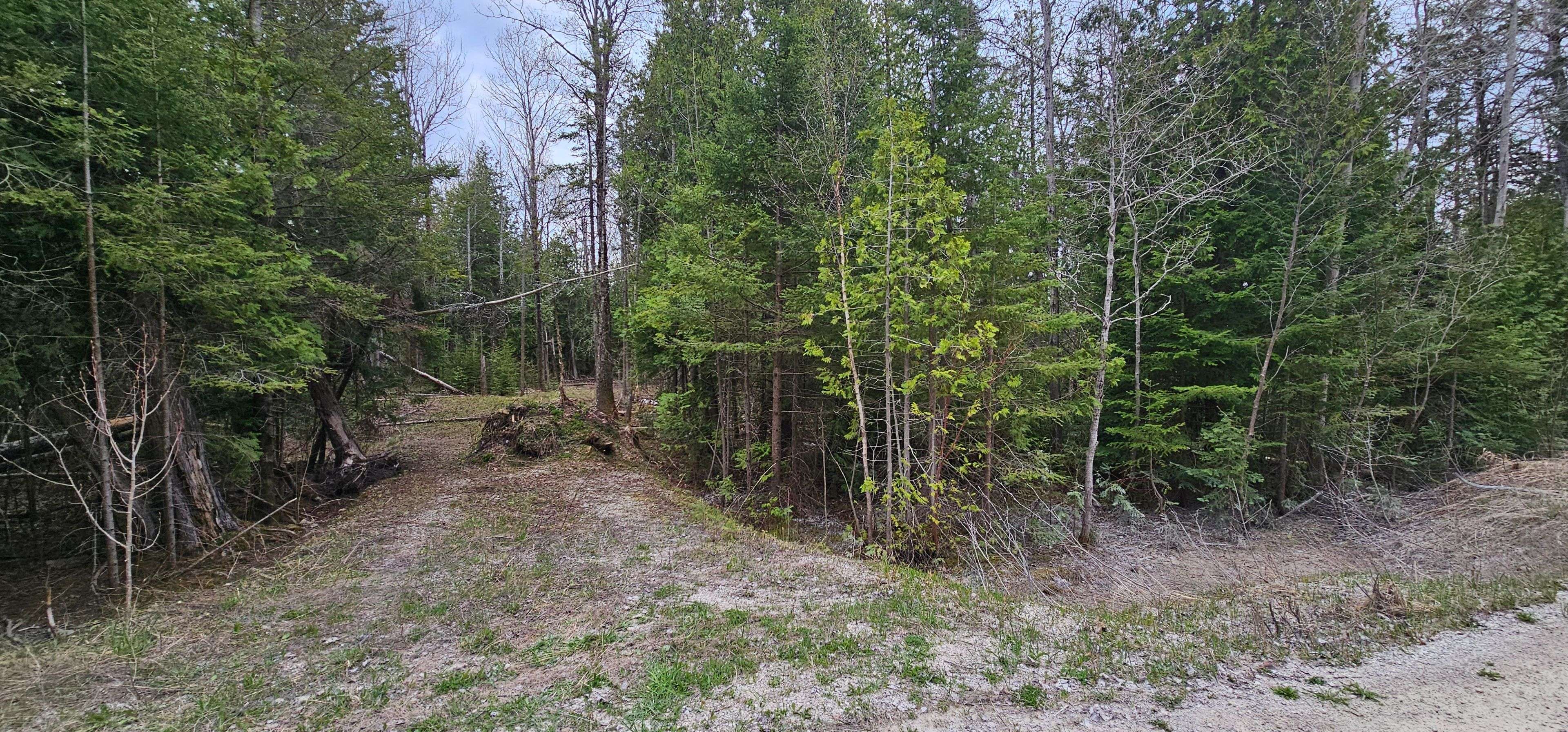 43 Hardwick Cove RD, Northern Bruce Peninsula, ON N0H 1W0