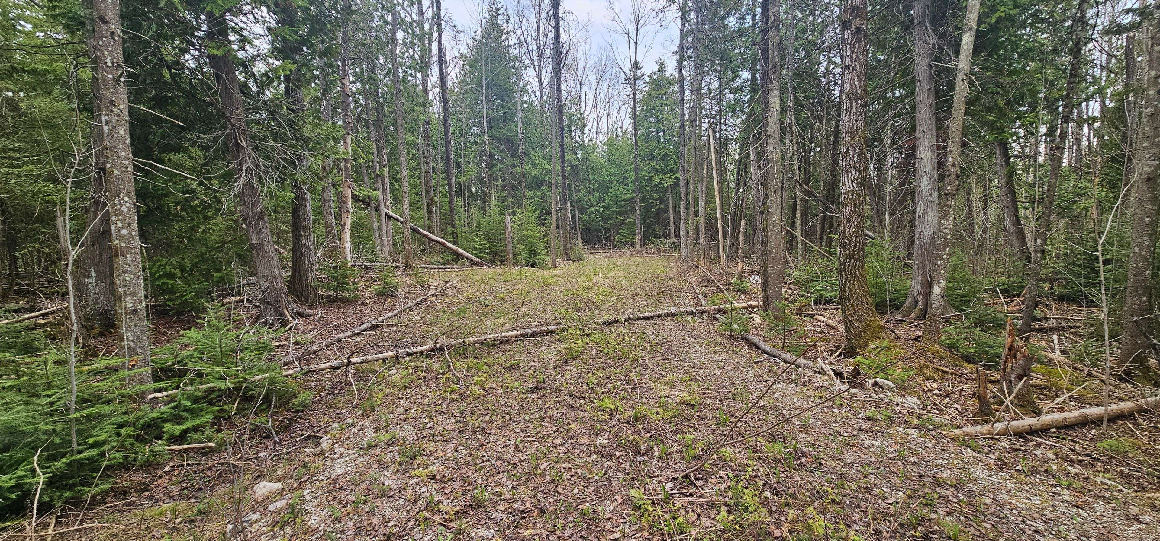 43 Hardwick Cove RD, Northern Bruce Peninsula, ON N0H 1W0