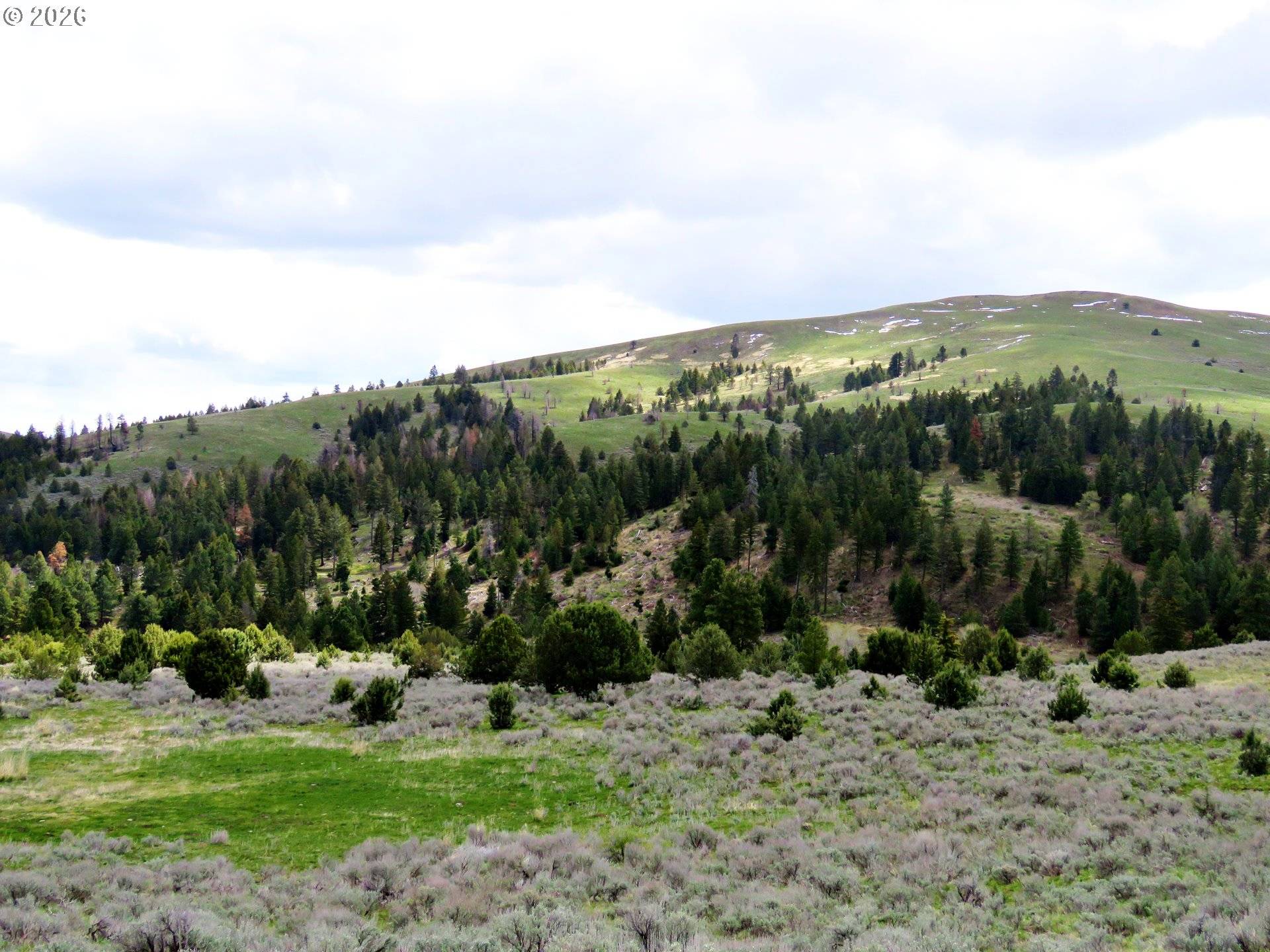 Clarks Creek Rd, Bridgeport, OR 97819