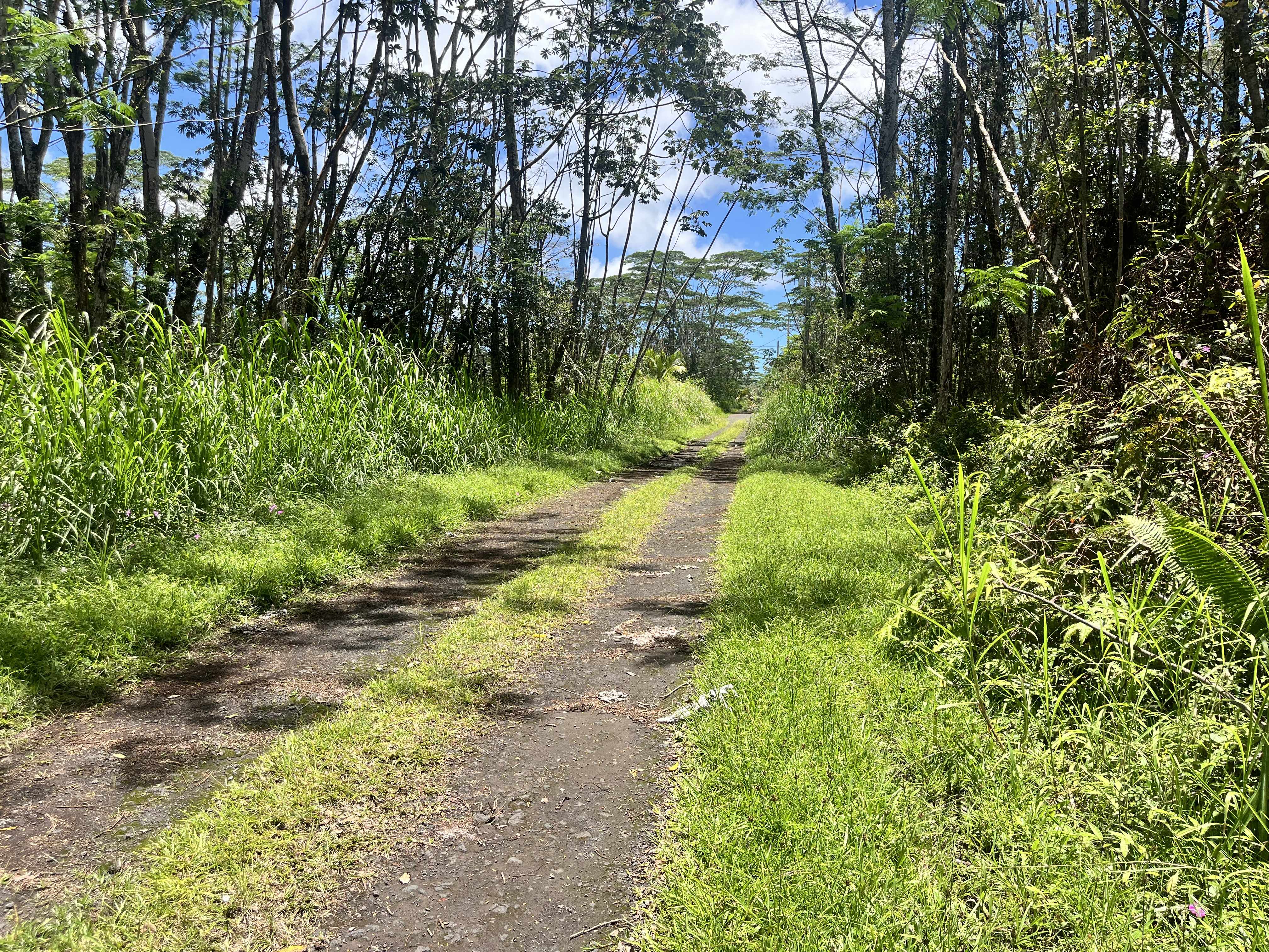 PIKAKE RD, Pahoa, HI 96778