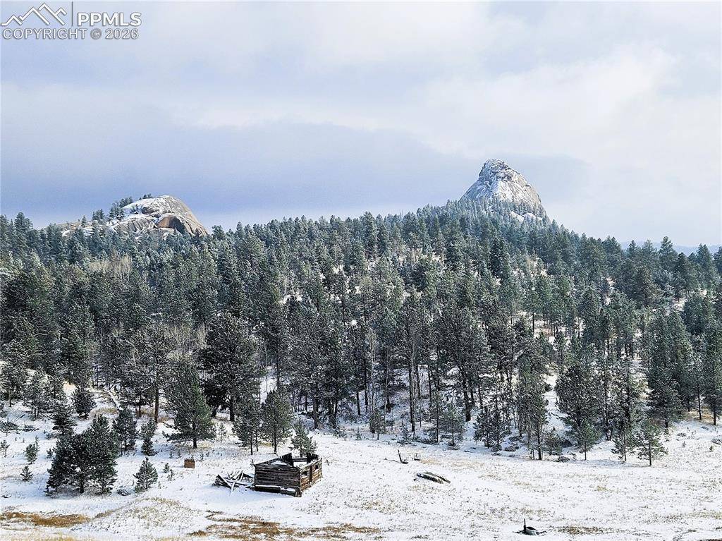 409 Wind Dancer CIR, Florissant, CO 80816