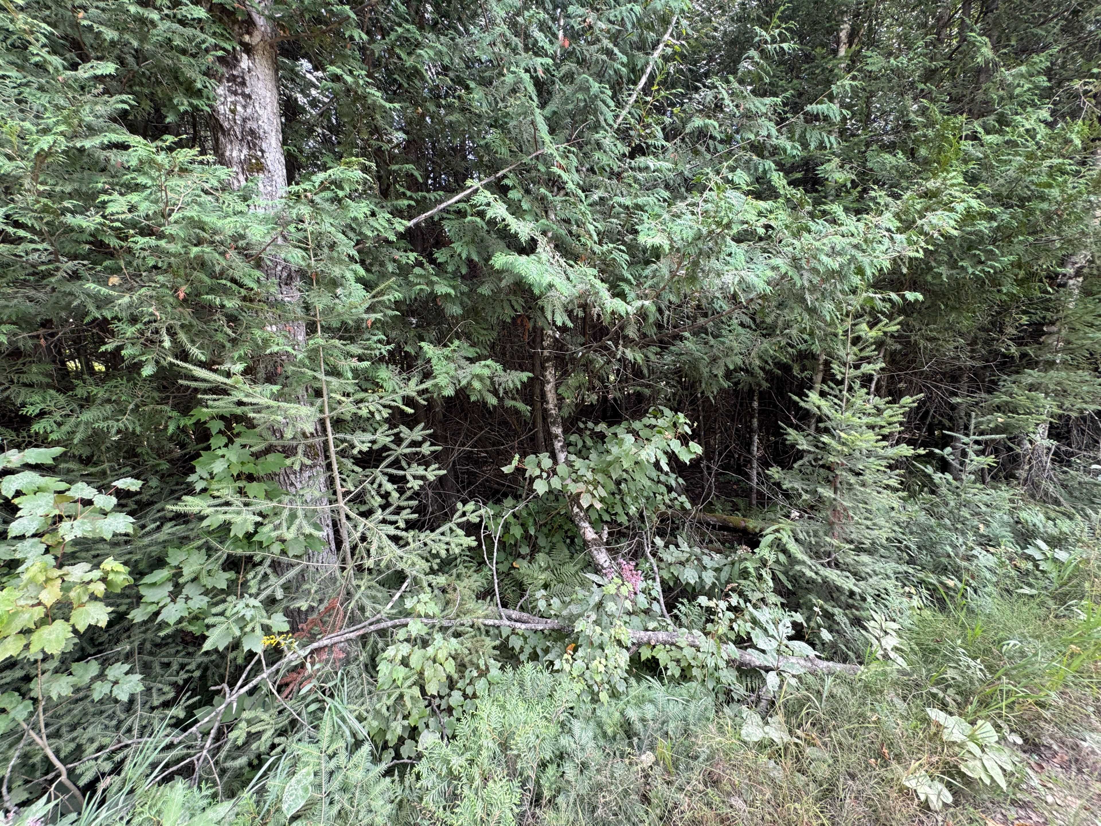 189 Schimmens RD, Brudenell, Lyndoch And Raglan, ON K0J 2E0