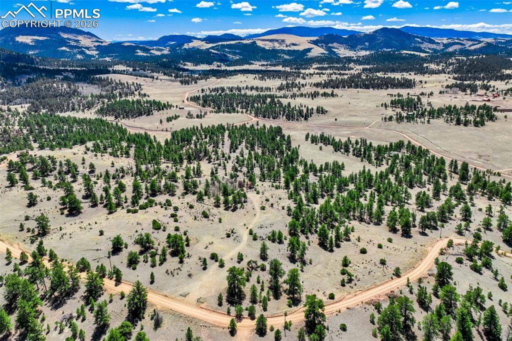 422 Buck DR, Guffey, CO 80820