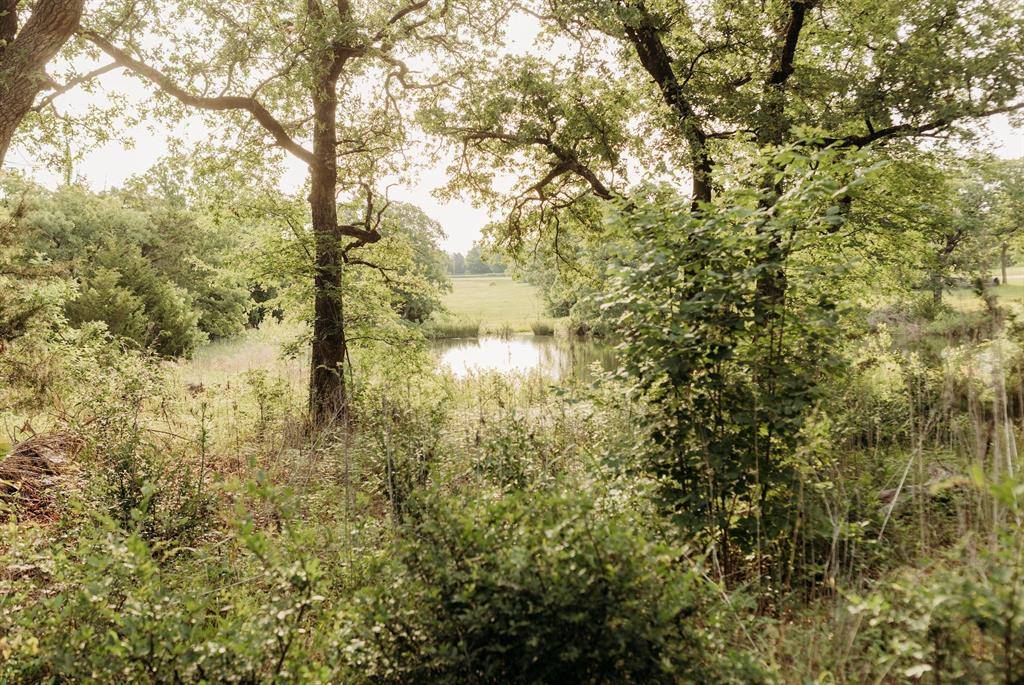 137 Yucatan Village Court, Gordonville, TX 76245