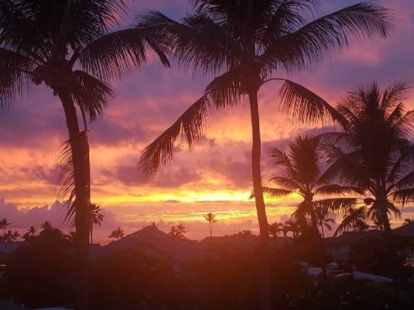 75-6081 ALII DR #S203, Kailua Kona, HI 96740