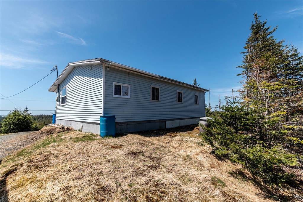 0 Vineland Road, Salmonier, NL A0A2R0